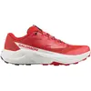 Image de Chaussures de running Salomon Pulsar pour Homme