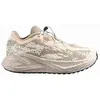 Image de Chaussures Salomon Aero Glide 4 GRVL 454073