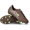 Image de Chaussures de foot Nike FQ8288-200 pour Femme