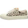 Image de Baskets basses Palladium pour femme 32323439363531, blanches, taille 37 (EU)