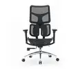 Image de Chaise ergonomique SIHOO Doro S100 - Double soutien lombaire dynamique, accoudoirs 4D, dossier 5x réglable - Noir - Neuf
