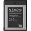 Image de SANDISK Professional PRO-CINEMA 256GB