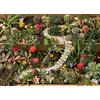 Image de Puzzle 1000 Succulentes dans le jardin