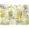 Image de Cobble Hill Nature Journal : Summer, 1000 pièce(s)