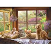 Image de Puzzle COBBLE HILL Rayon de soleil 500 pièces