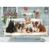 Image de Puzzle 350 « Les copains de la véranda G3 » - Cobble Hill
