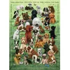 Image de COBBLE HILL Puzzle familial Puppy Love 350 pièces