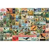 Image de Cobble Hill Puzzle Vögel - Oiseaux nationaux du monde 2000 Teile