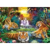 Image de EUROGRAPHICS Tiger Paradise Puzzle XL 500 pièces