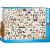 Image de Eurographics Puzzle Le monde des chiens, Chiens, 2000 pièces, 67.6 x 96.8 cm, 8220-0581