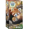 Image de Eurographics Puzzle Pandas rouges, bébé panda, 250 pièces, 33 x 48 cm, 8251-5557