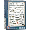 Image de Poissons d'eau douce