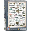 Image de EUROGRAPHICS Puzzle Poisson de mer 1000 pièces