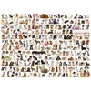 Image de Puzzle 1000 « Le monde des chiens » 6000-0581 - Eurographics