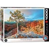 Image de Eurographics Puzzle Grand Canyon Hiver Lever de soleil, 1000 pièces, 68 x 48 cm, 6000-0692