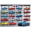 Image de EUROGRAPHICS Puzzle Evolution Camara 1000 pièces