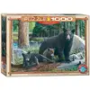 Image de Eurographics Puzzle Nouvelles Découvertes par Kevin Daniel, 1000 pièces, 68 x 48 cm, 6000-0793