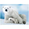 Image de EUROGRAPHICS Puzzle Ours polaire avec petit 1000 pièces