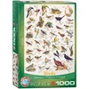 Image de Oiseaux 1000 pièces