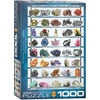 Image de EUROGRAPHICS Puzzle Minéraux 1000 pièces
