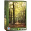 Image de Chemin forestier