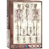 Image de Le squelette 1000 pièces puzzle