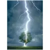Image de EUROGRAPHICS Puzzle Arbre frappé par la foudre 1000 pièces
