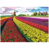Image de EUROGRAPHICS Puzzle de champs de tulipes (HDR) 1000 pièces
