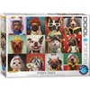 Image de EUROGRAPHICS Puzzle Chiens rigolos 1000 pièces