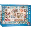 Image de Collection de coquillages