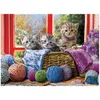 Image de Des chatons qui tricotent