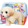 Image de Moose - Pluszowa Maskotka Little Live Pets Cooper Retriever dla Dzieci