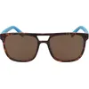 Image de Nautica N3633sp Lunettes de soleil polarisées Marron Homme Marron One Size