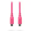 Image de SC17 Rose