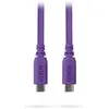 Image de SC17 Violet