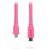 Image de SC19 Rose