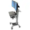 Image de Ergotron Neo-Flex 55,9 cm (22 ) Gris Sol - Neuf