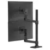 Image de Ergotron LX Dual Monitor Arm schwarz (45-509-224) (45509224) - Neuf