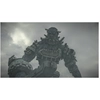 Image de Sony Interactive Entertainment Shadow of the Colossus PlayStation 4 - Neuf