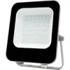Image de Projecteur Extérieur LED 30W IP65 Noir - Blanc Froid 6000K - 8000K