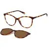 Image de Polaroid Femme Polaroid PLD 6138/CS 086/SP Lunettes de soleil Plastique Havane Marron Cat Eye Clip-on