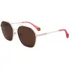 Image de Lunettes de soleil unies Polaroid PLD 6172/S 10A BEIGE 57/17/140