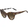 Image de Moschino Femme Moschino MOL053/S 1NR/HA Lunettes de soleil Acétate Havane Marron Pantos Normale Ombré
