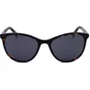 Image de Levi S LV 1021/S/N Havana 51/18/145 Lunettes de soleil pour femmes