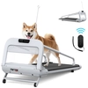 Image de Nouveau Tapis De Course Intelligent Et Silencieux Pour Animaux, Avec Vitesse Réglable, Pour Petits Et Moyens Chiens