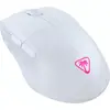 Image de Souris sans fil Gamer Turtle Beach Pure Air (Blanc) #DEFAULT