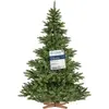Image de FairyTrees Sapin de Noël Artificiel 220cm NORDMANN | Arbre de Noël avec Support en Bois | Sapin avec Tronc Vert | EU