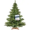 Image de FairyTrees Arbre de Noël artificiel 180cm NORDMANNTANNE avec support en bois pour arbre de Noël | VAINQUEUR DU TEST Sapin artificiel avec tronc vert | EU