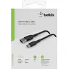 Image de Belkin BOOST CHARGE - Câble USB - USB-C (M) à USB (M) - 1 m - noir