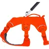 Image de Ruffwear harnais pour chiens Web Master Blaze Orange, taille : M